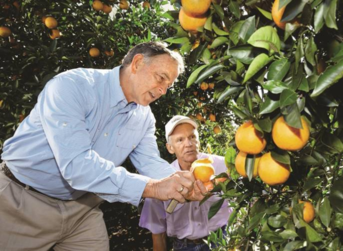 Man showing child orange